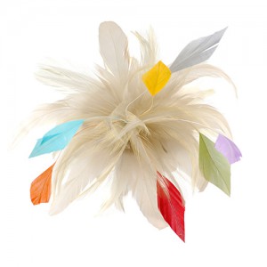 Feather clip with colourful feather coquetips