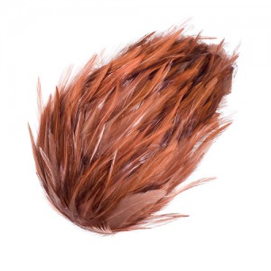 Feather clip rust