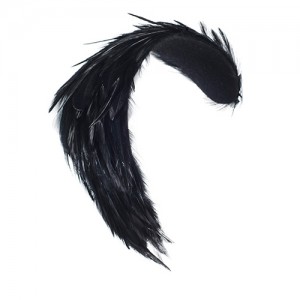 Feather clip black