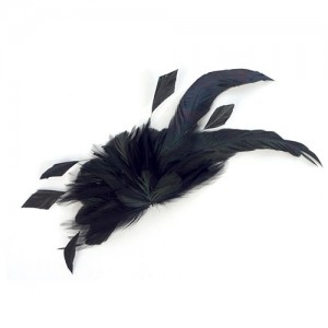 Hair clip with feathers