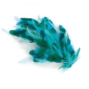 Hair clip with feathers