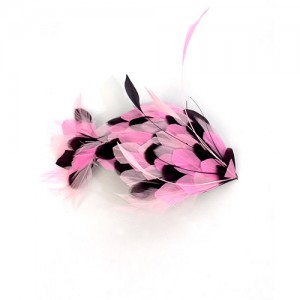 Hair clip with feathers