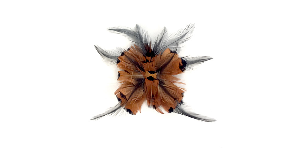 Schmetterling Herzfasan und Hahnenfedern