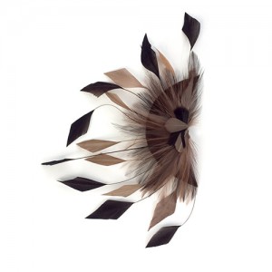 Brown-beige rooster feathers