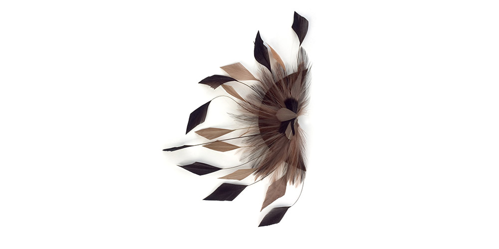 Braune-beige Hahnenfedern