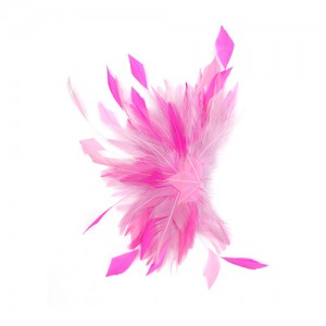 Feather clip